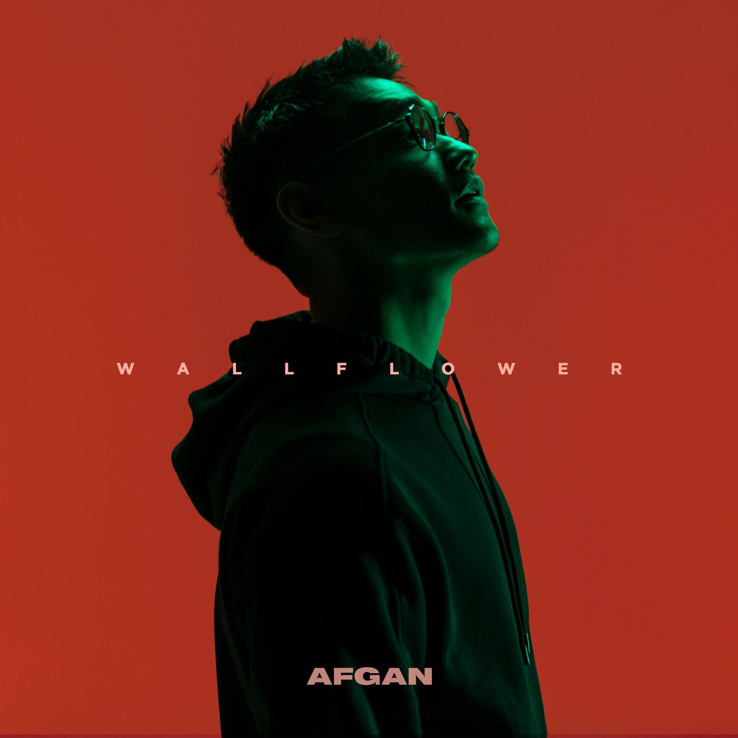 Afgan - Wallflower   - COMPACT DISCS [CD] price history on PriceWatchPro