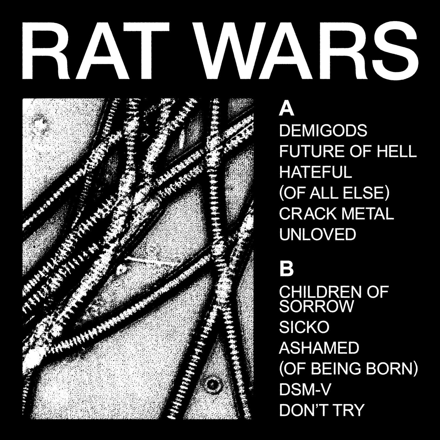 RAT WARS

A  
DEMIGODS  
FUTURE OF HELL  
HATEFUL  
(OF ALL ELSE)  
CRACK METAL  
UNLOVED  

B  
CHILDREN OF SORROW  
SICKO  
ASHAMED  
(OF BEING BORN)  
DSM-V  
DON'T TRY