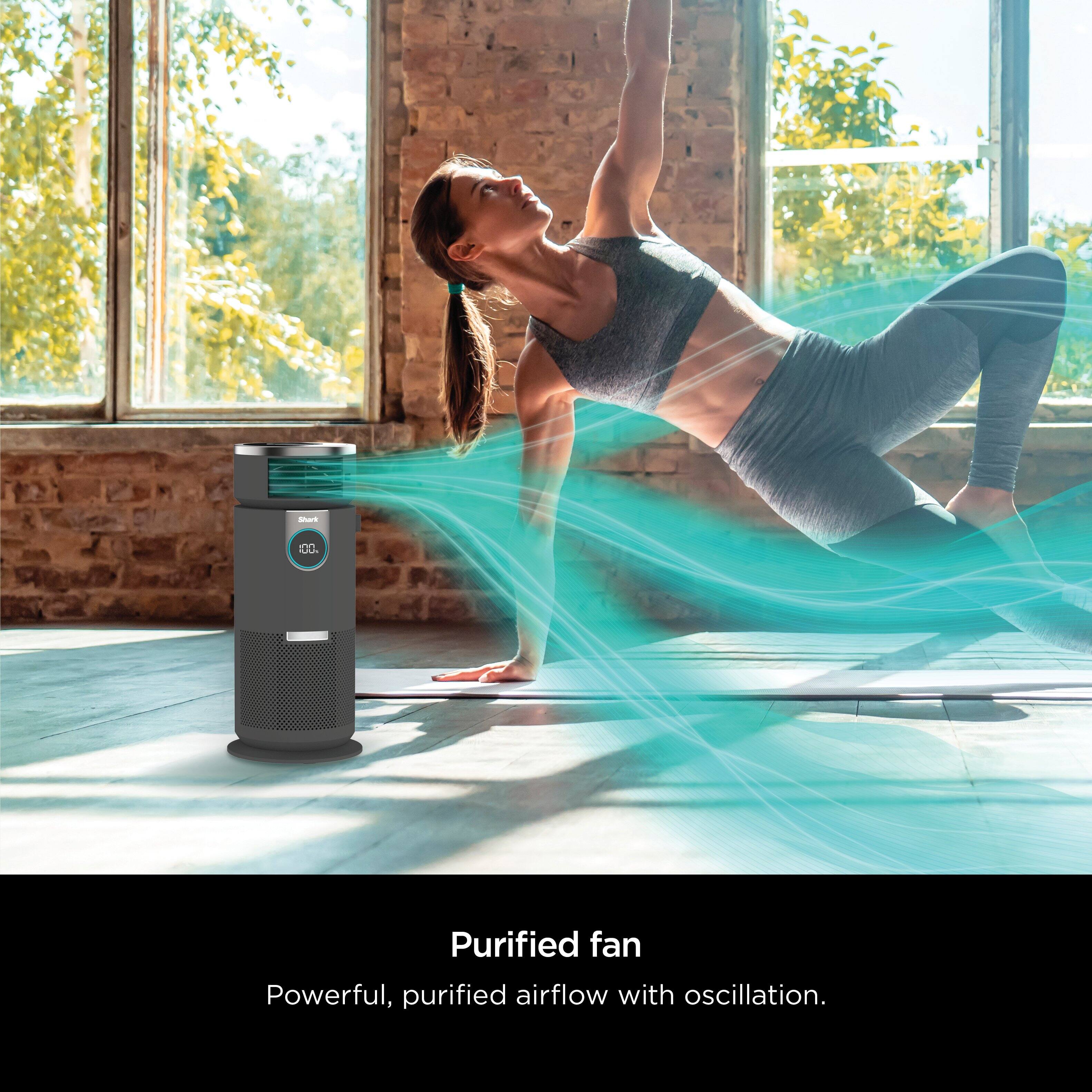 Purified fan: Powerful, purified airflow with oscillation.