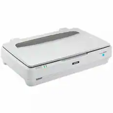 Front. Epson - Epson Expression 13000XL Large Format Flatbed/Film Scanner - 2400 dpi Optical - 48-bit Color - 16-bit Grayscale - Color - Color.