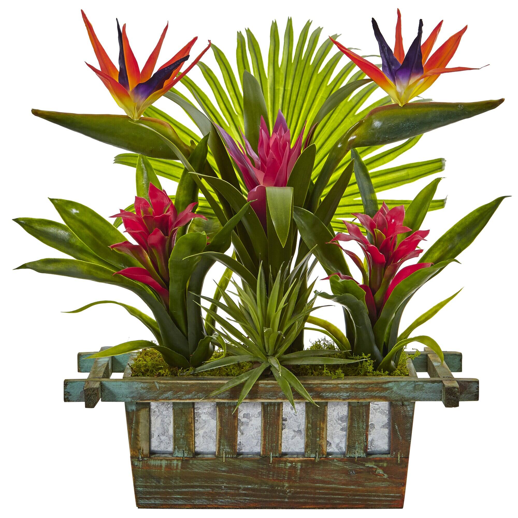Front. BreeBe - 19" Birds of Paradise and Bromeliad in Planter - Multicolor.