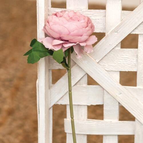 Front. BreeBe - Peony Stem Pink - Pink.