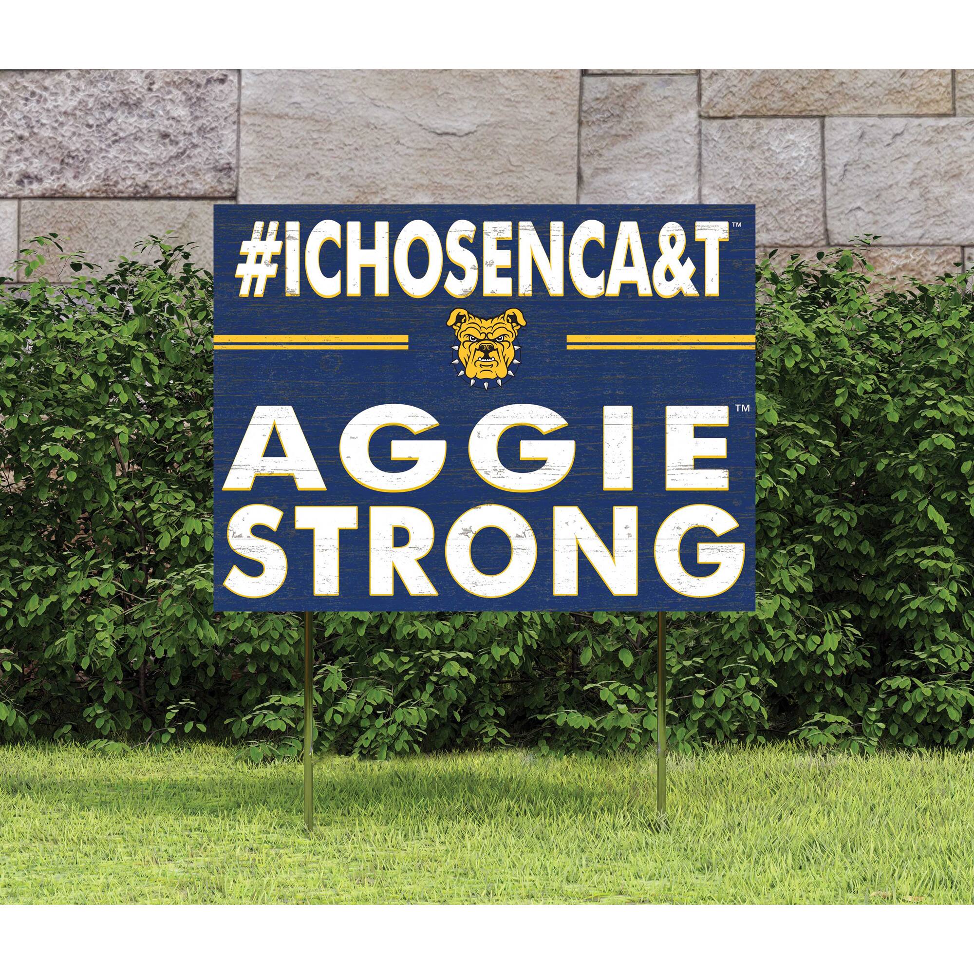 #ICHOSA&T  
AGGIE STRONG