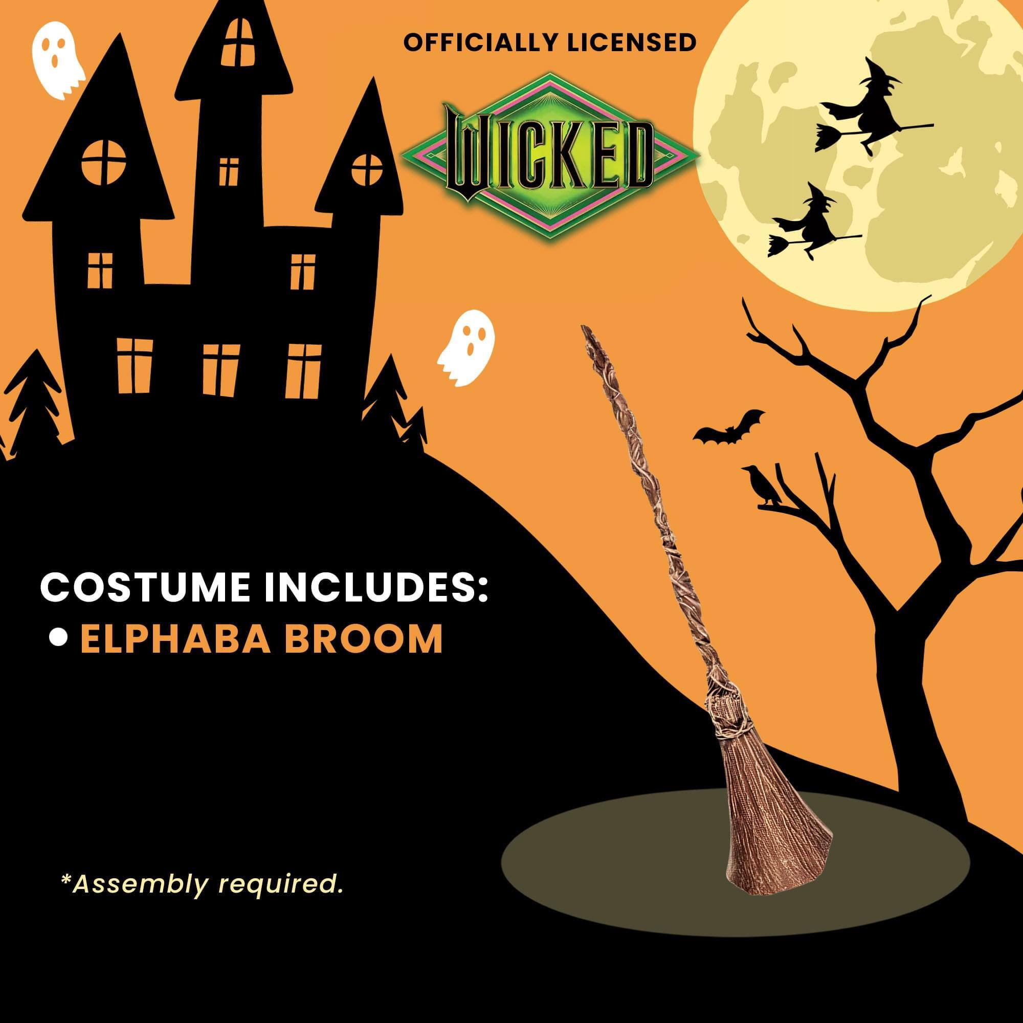 OFFICIALLY LICENSED  
WICKED  

COSTUME INCLUDES:  
• ELPHABA BROOM  

*Assembly required.
