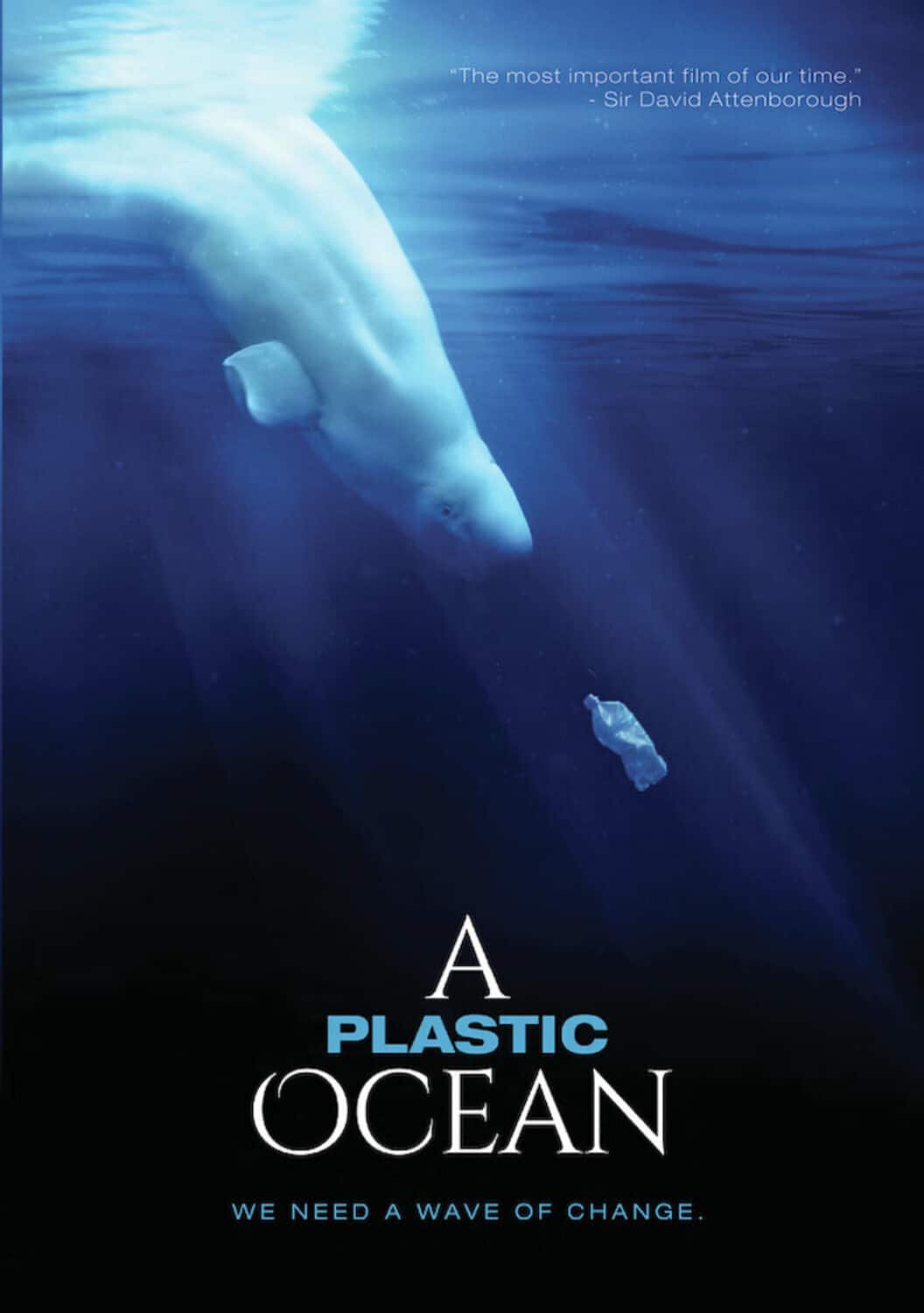 A Plastic Ocean  - DVD