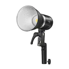Godox
X309
