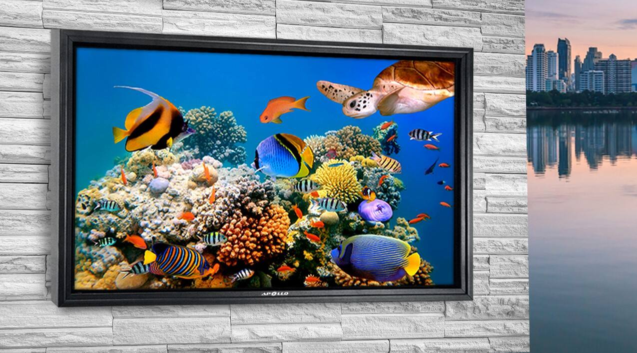 media item thumbnail