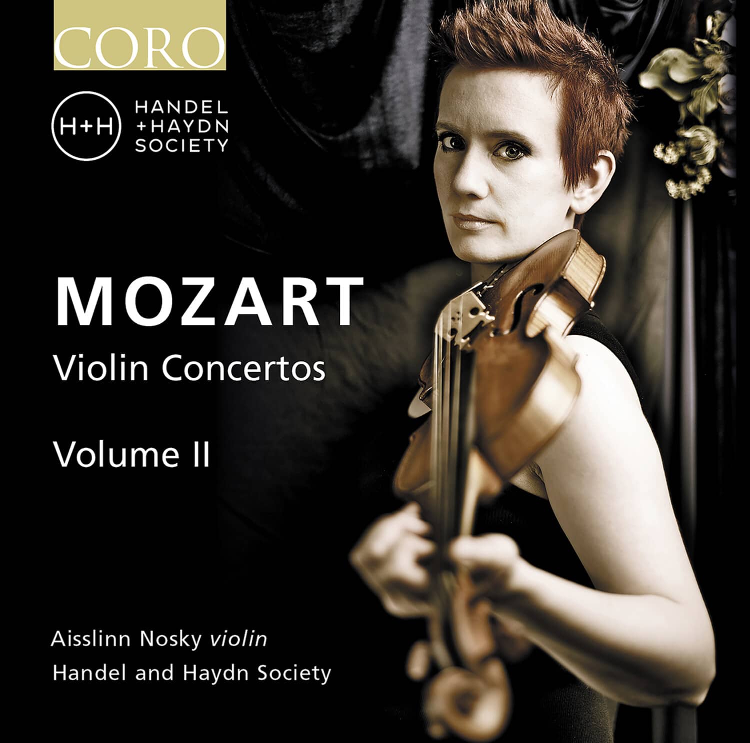 Handel & Haydn Society - Violin Concertos Vol. 2   - COMPACT DISCS [CD] price history on PriceWatchPro