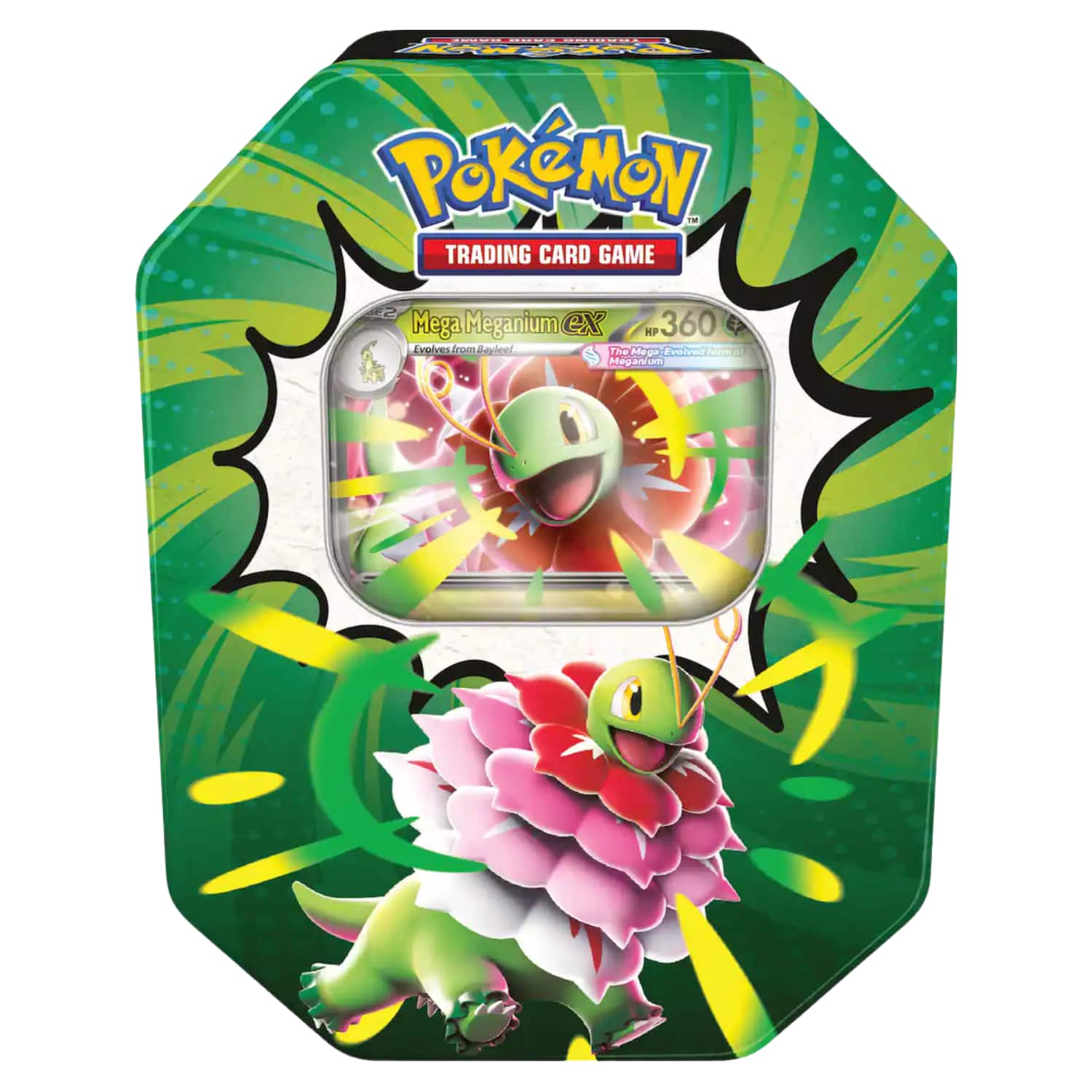 Pokémon - Pokemon ME2.5 Mega Evolution Ascended Heroes Tin | Mega Meganium ex