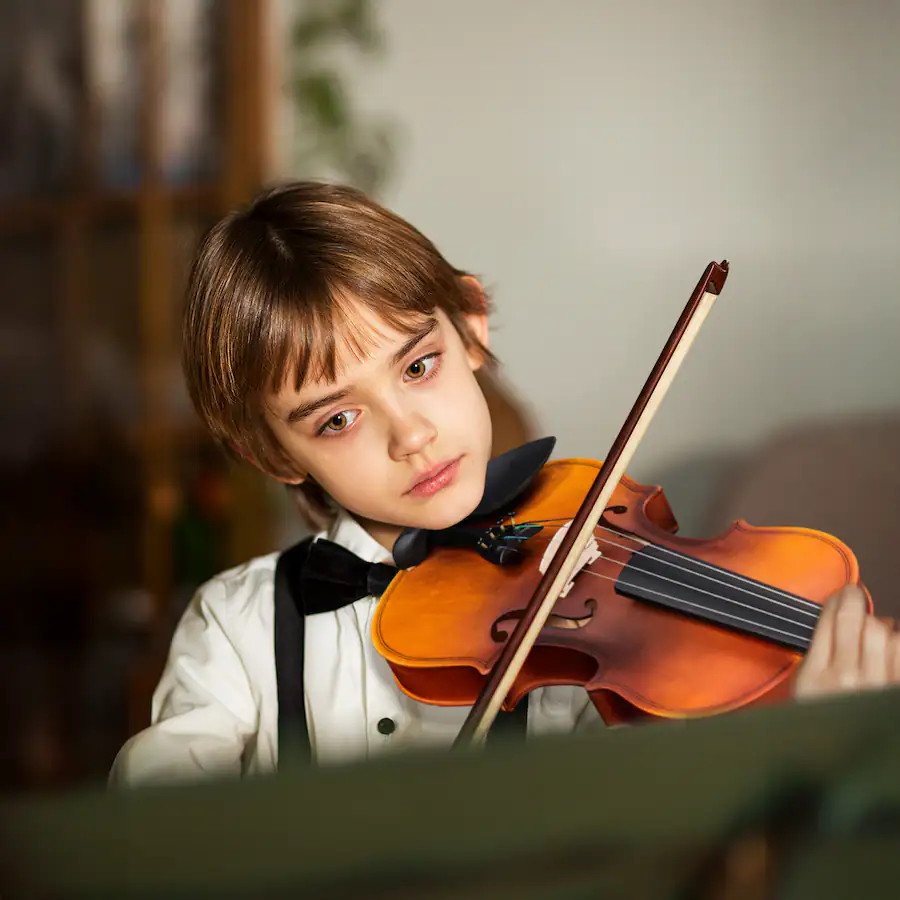 Volin Bridge Winado 4/4 Violin, Full Size Acoustic Fiddle,Beginner Kit with Hard ...