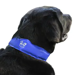 Arf Pets - Dog Cooling Collar with Non-Toxic Material Helps Relieve Heat Stress and Stay Cool Longer - Blue