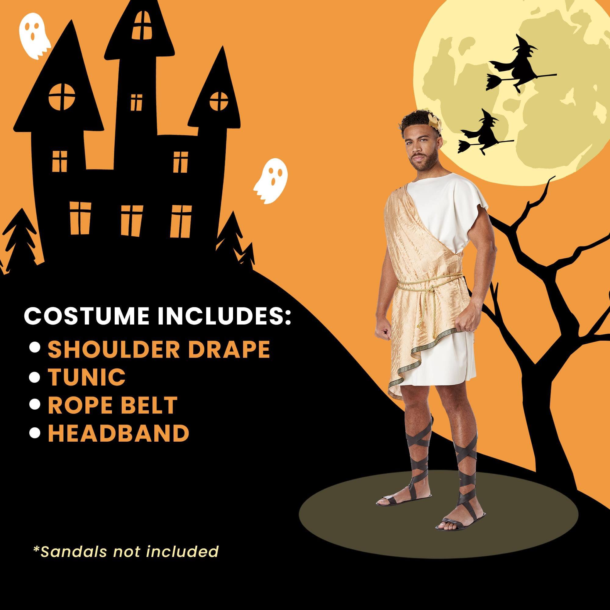 COSTUME INCLUDES:  
- SHOULDER DRAPE  
- TUNIC  
- ROPE BELT  
- HEADBAND  

*Sandals not included