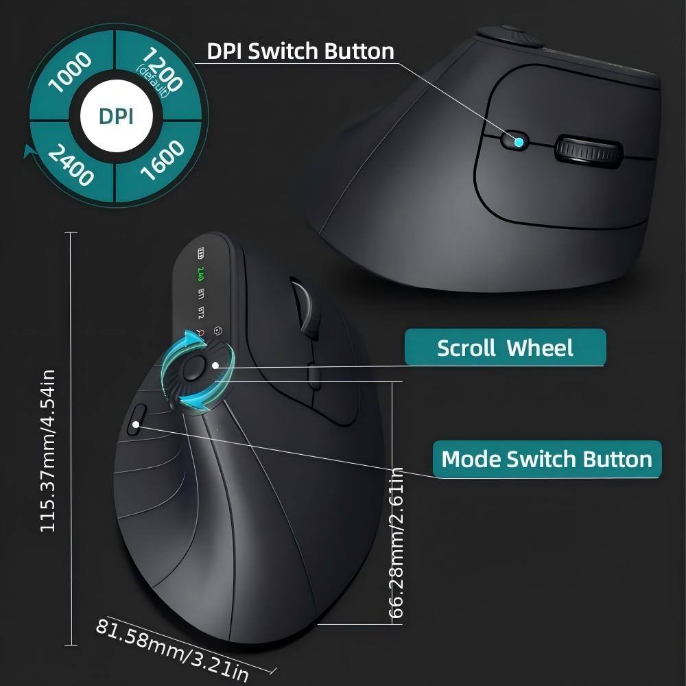 DPI Switch Button  
1000 (default)  
1200 DPI  
2400  
1600  

Scroll Wheel Mode Switch Button  

115.37mm/4.54in  
81.58mm/3.21in  
66.28mm/2.61in