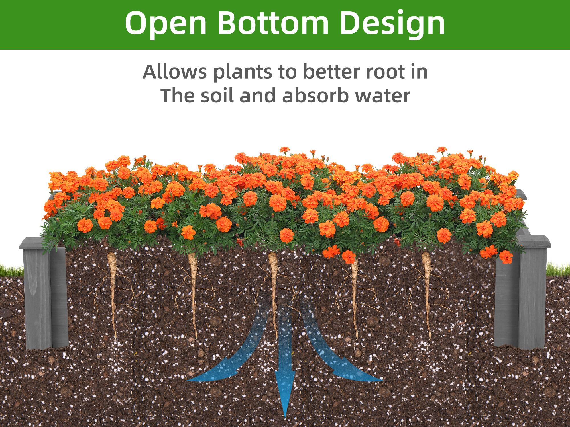 Open Bottom Design  
Allows plants to better root in the soil and absorb water