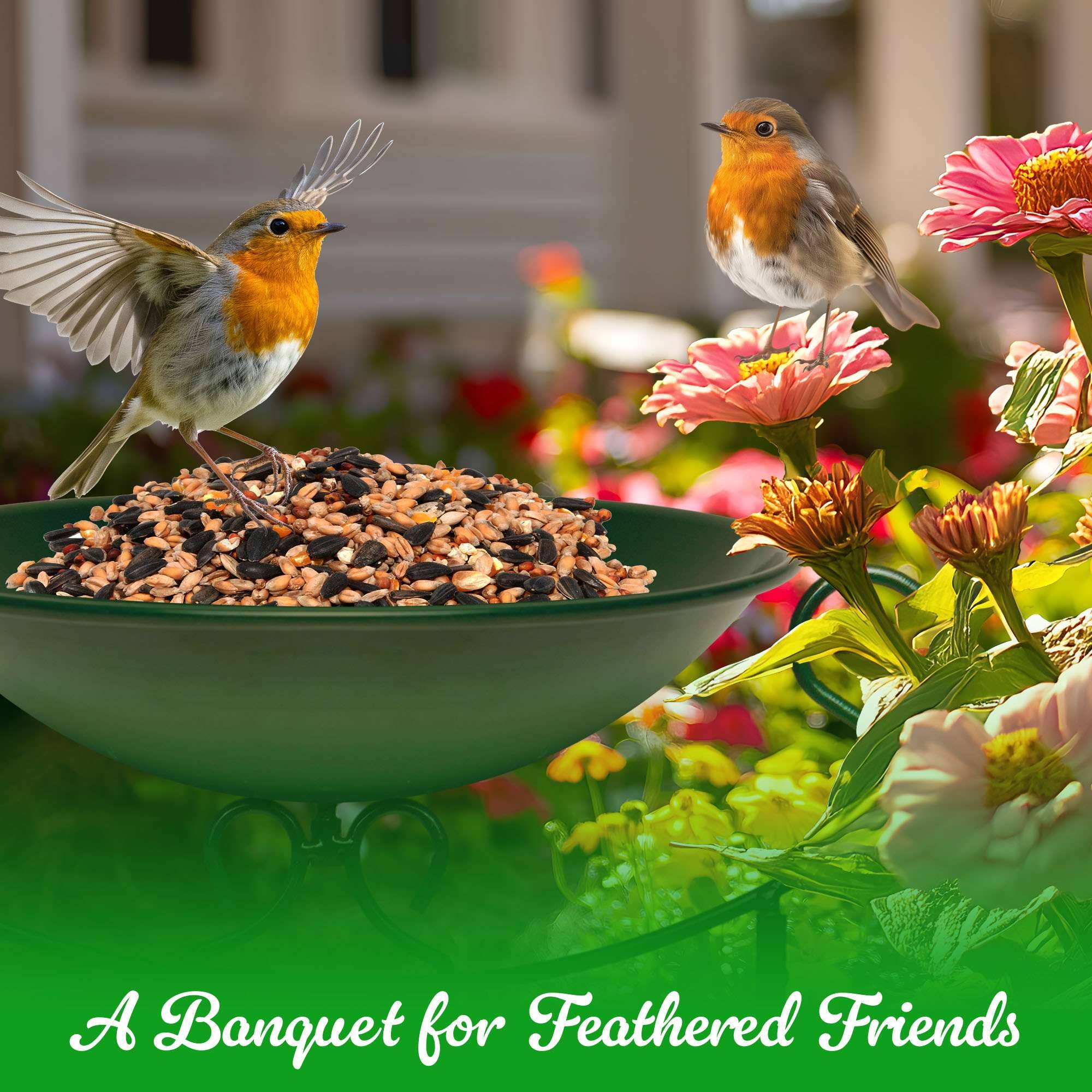 A Banquet for Feathered Friends