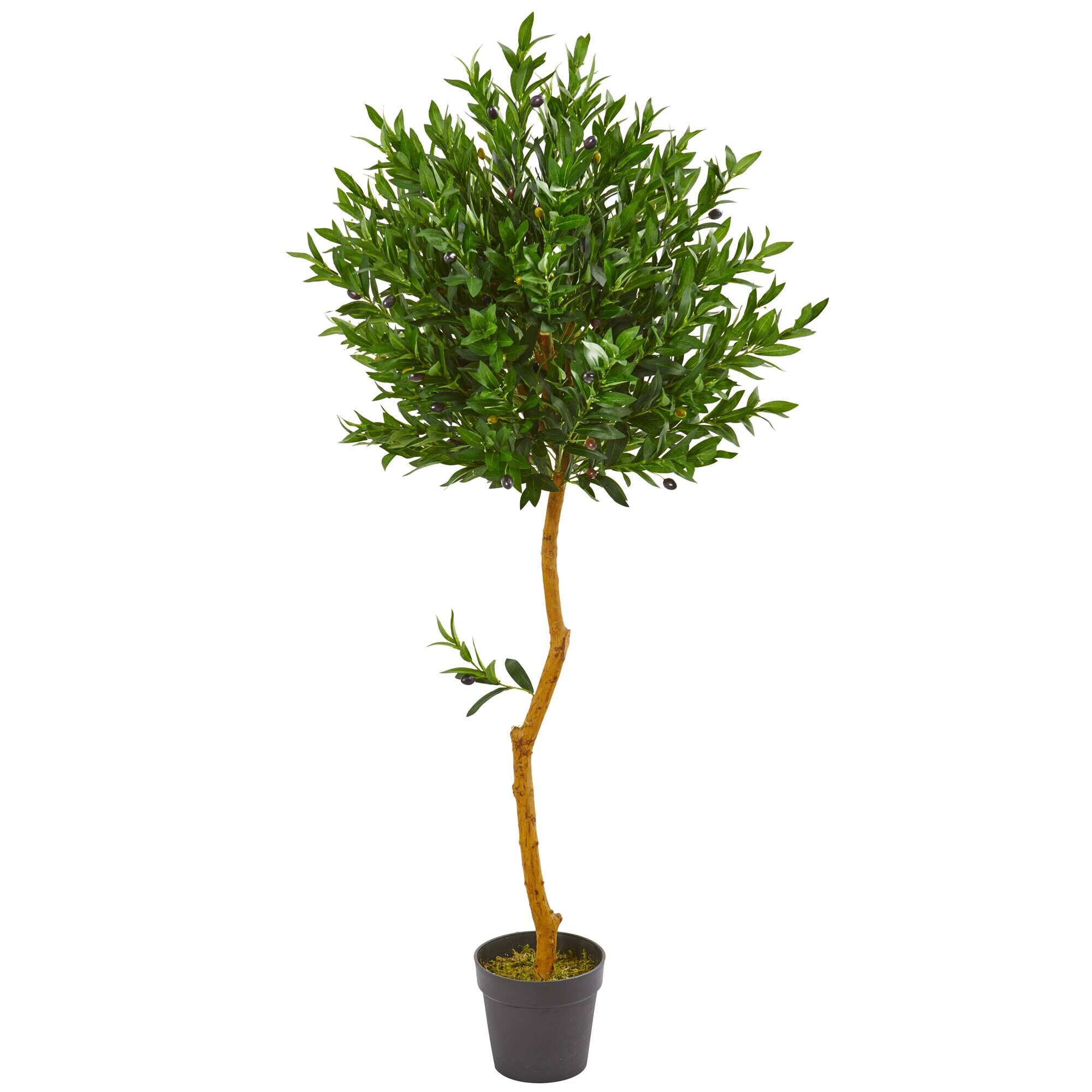 BreeBe - 58" Olive Artificial Tree UV Resistant (Indoor/Outdoor) - Green
