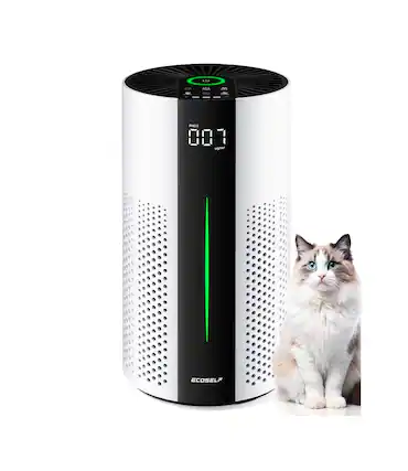 - adid M CAA Ae -i PM25 001 ECOSELF