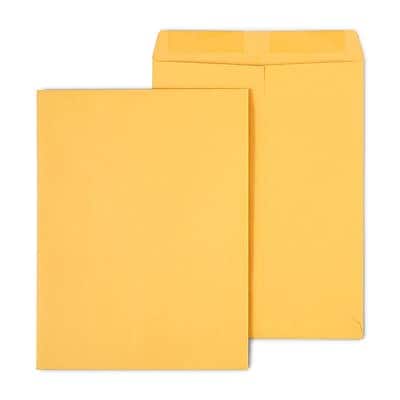 "Staples - Gummed Kraft Catalog Envelopes, 10""L x 13""H, 100/Box (SPL534750) - Brown" price history on PriceWatchPro