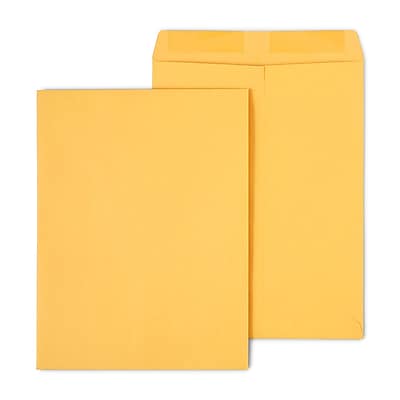 Staples - Gummed Kraft Catalog Envelopes, 10"L x 13"H, 100/Box (SPL534750) - Brown