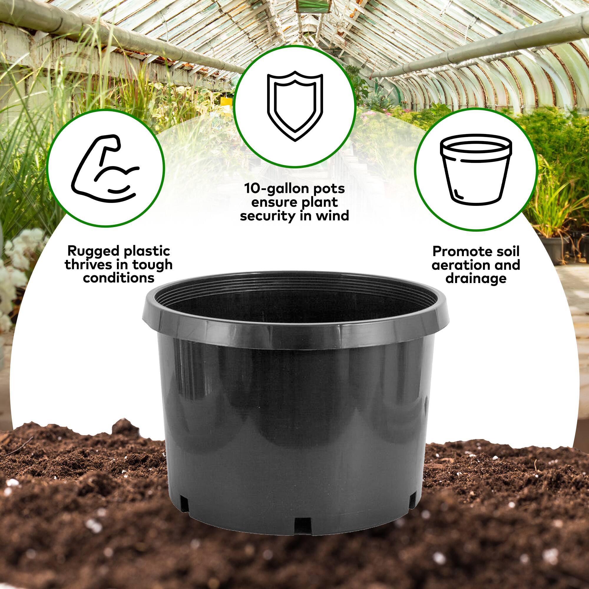 Pro Cal 10 Gallon Premium Nursery Black Plastic Planter Garden Grow ...