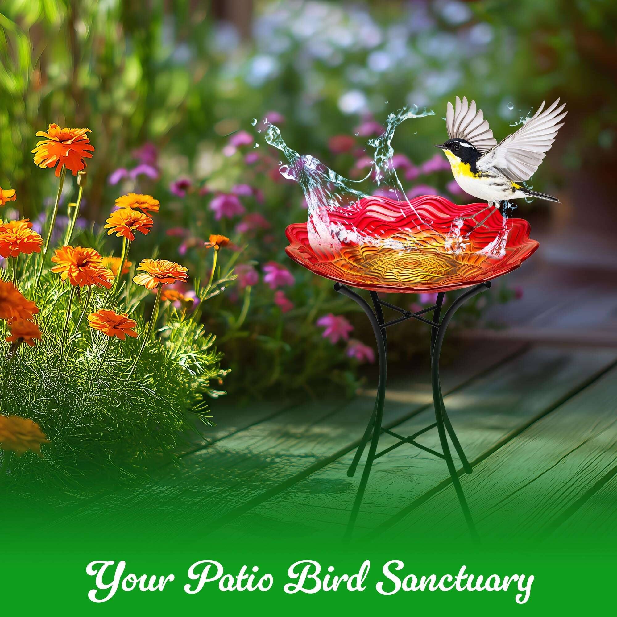 Your Patio Bird Sanctuary