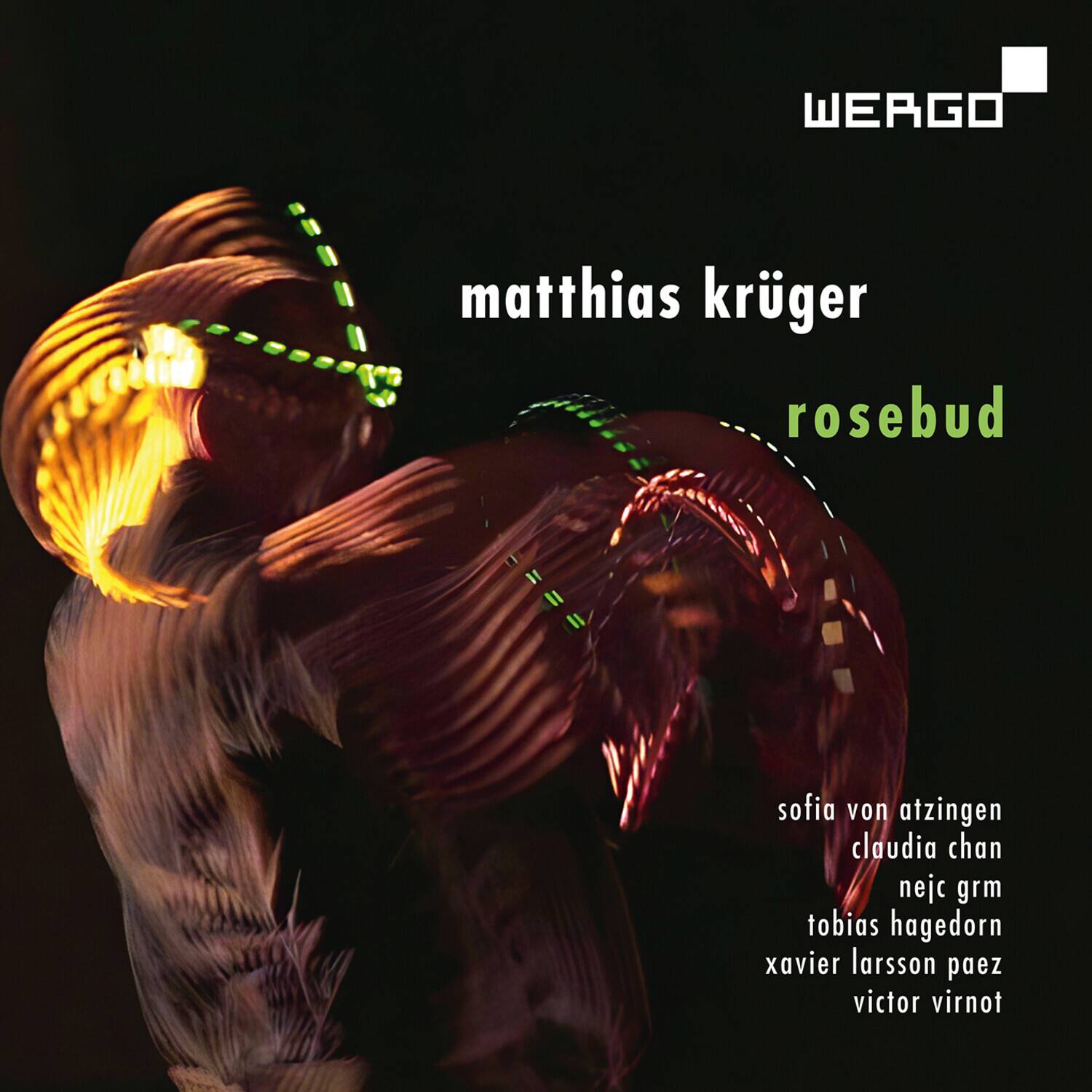 Hagedorn,Tobias - Rosebud   - COMPACT DISCS [CD] price history on PriceWatchPro