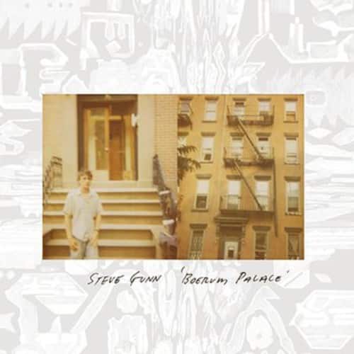 Steve Gunn - Boerum Palace   - VINYL LP price history on PriceWatchPro