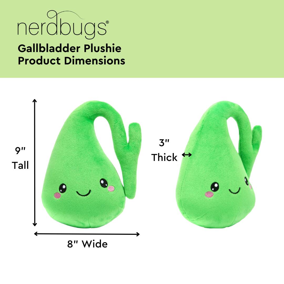 nerdbugs®  
Gallbladder Plushie  
Product Dimensions  

9" Tall  
3" Thick  
8" Wide