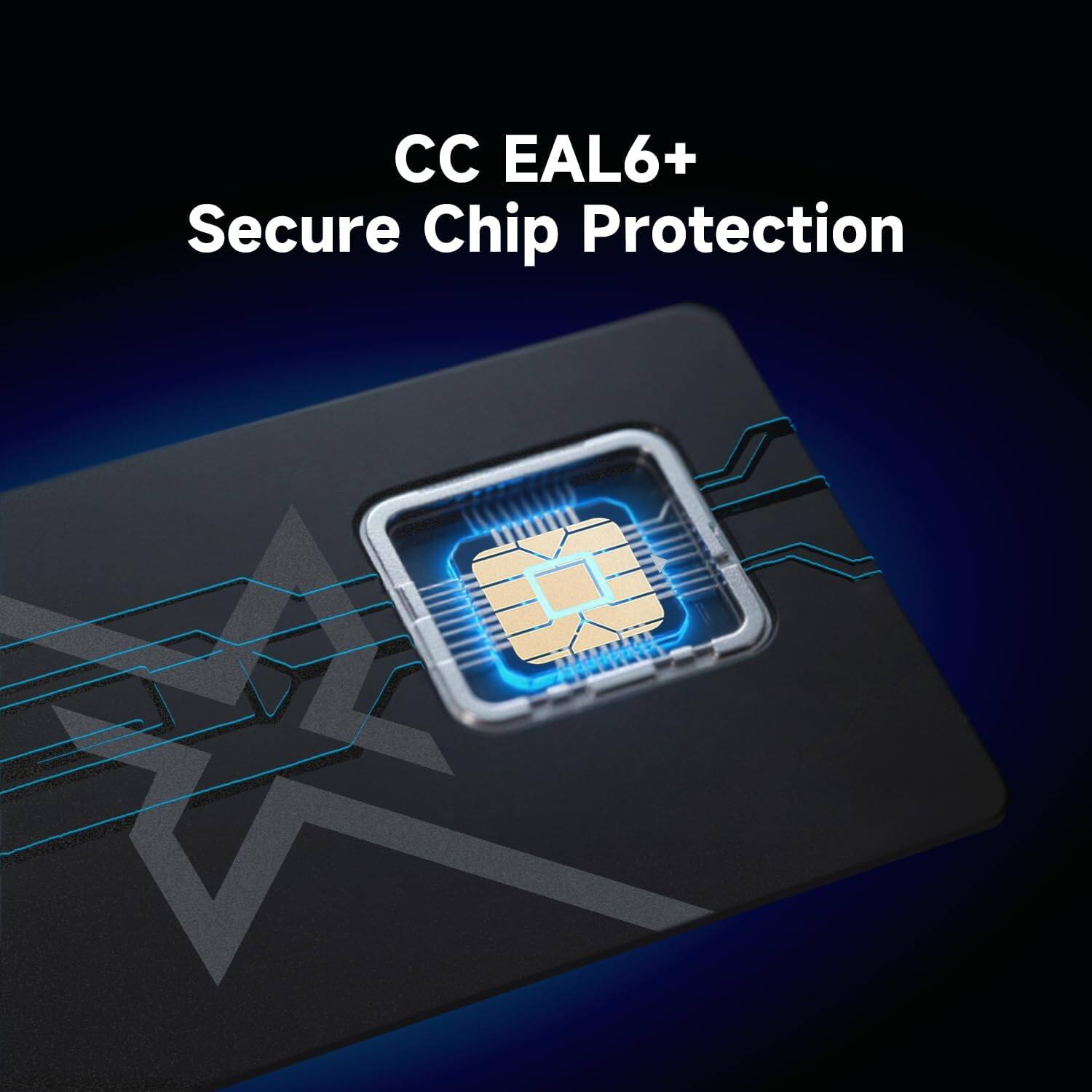 CC EAL6+ Secure Chip Protection