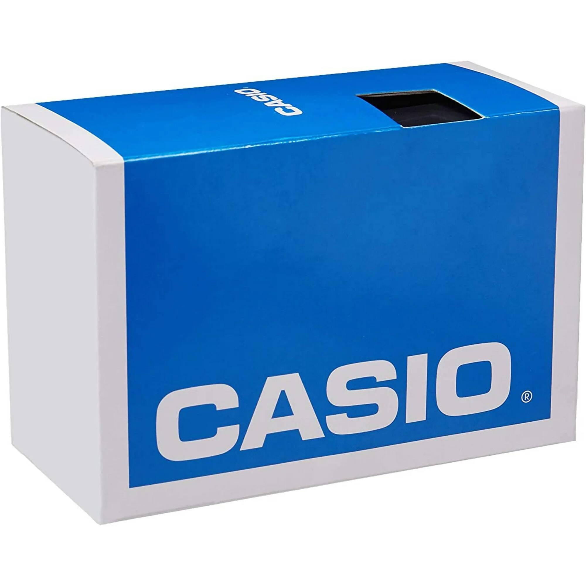 CASIO  
DISKS