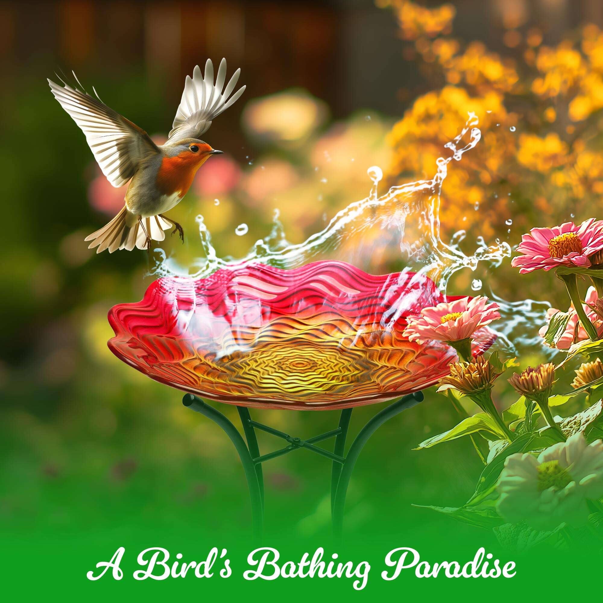 A Bird's Bathing Paradise