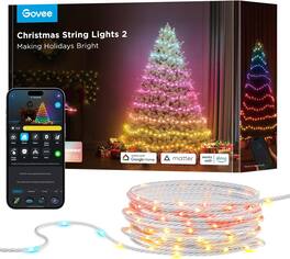 Govee - RGBWIC 99FT Christmas String Lights,130+ Preset Scenes, Voice and APP Control, Wire - Clear