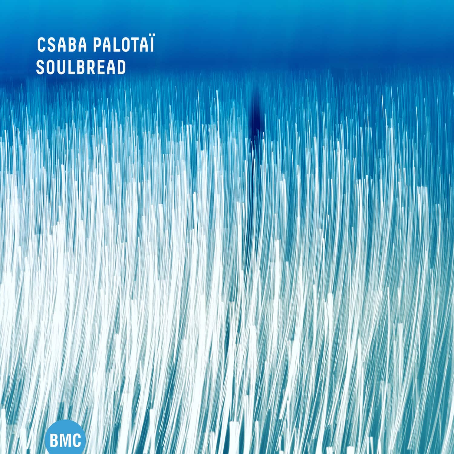 Csaba Palotai - Soulbread   - COMPACT DISCS [CD] price history on PriceWatchPro
