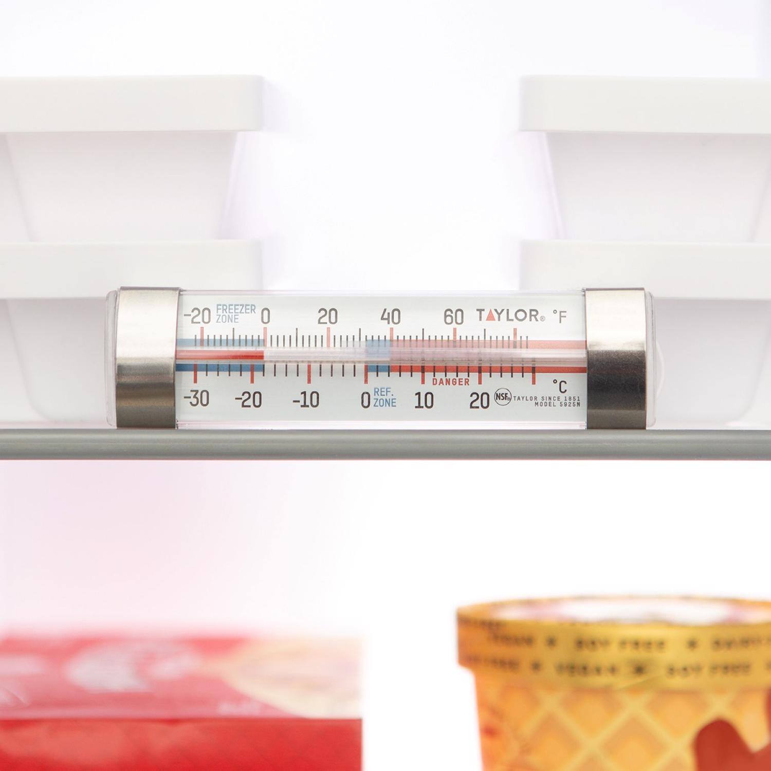 FREEZER 20 ZONE O 20 40 60 TAYLOR F -30 -20 -10 REF 0 ZONE DANGER C 10 NSI TAYLOR SINGLE ISS 20 MODEL *S81