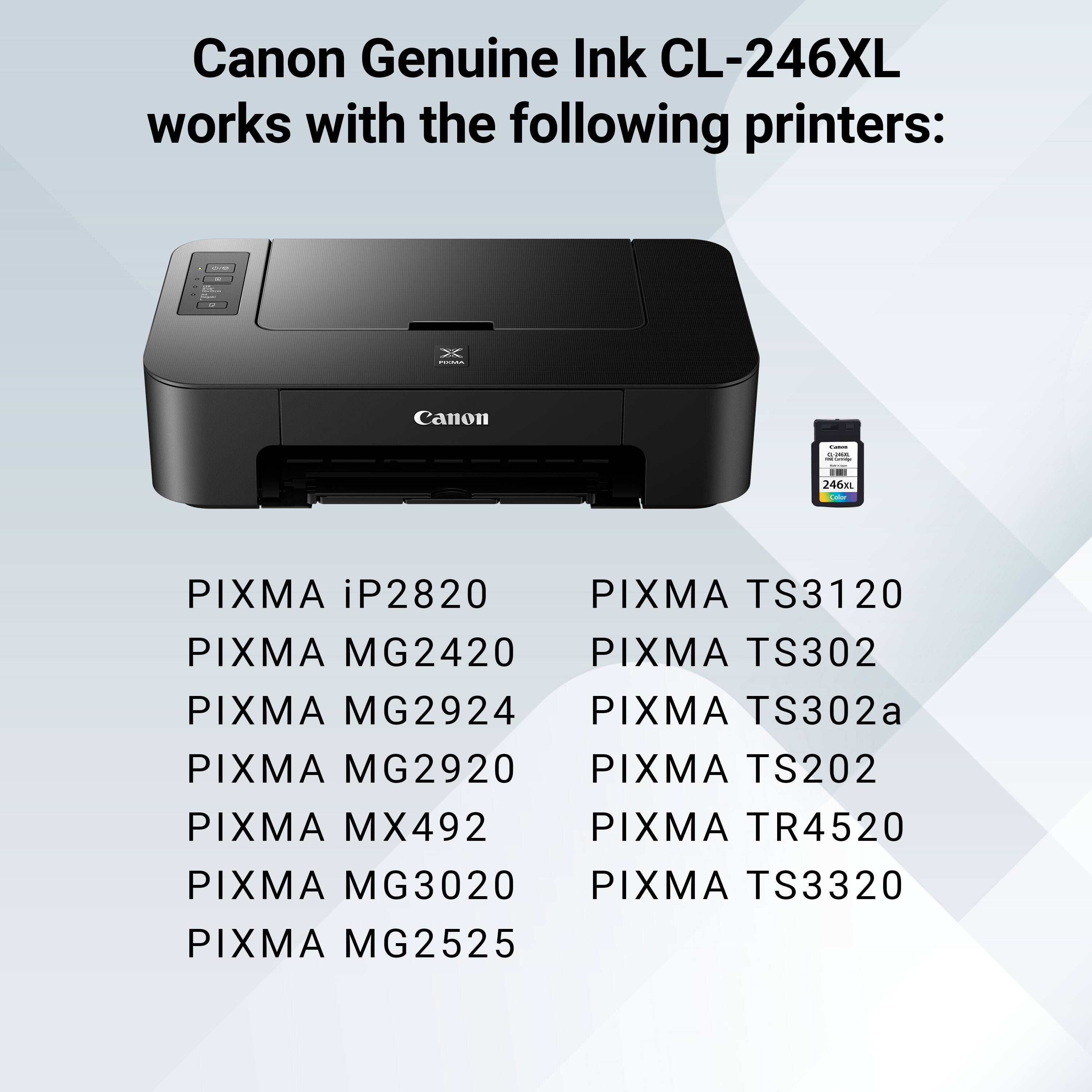 Canon Genuine Ink CL-246XL works with the following printers:

- PIXMA iP2820
- PIXMA MG2420
- PIXMA MG2924
- PIXMA MG2920
- PIXMA MX492
- PIXMA MG3020
- PIXMA MG2525
- PIXMA TS3120
- PIXMA TS302
- PIXMA TS302a
- PIXMA TS202
- PIXMA TR4520
- PIXMA TS3320