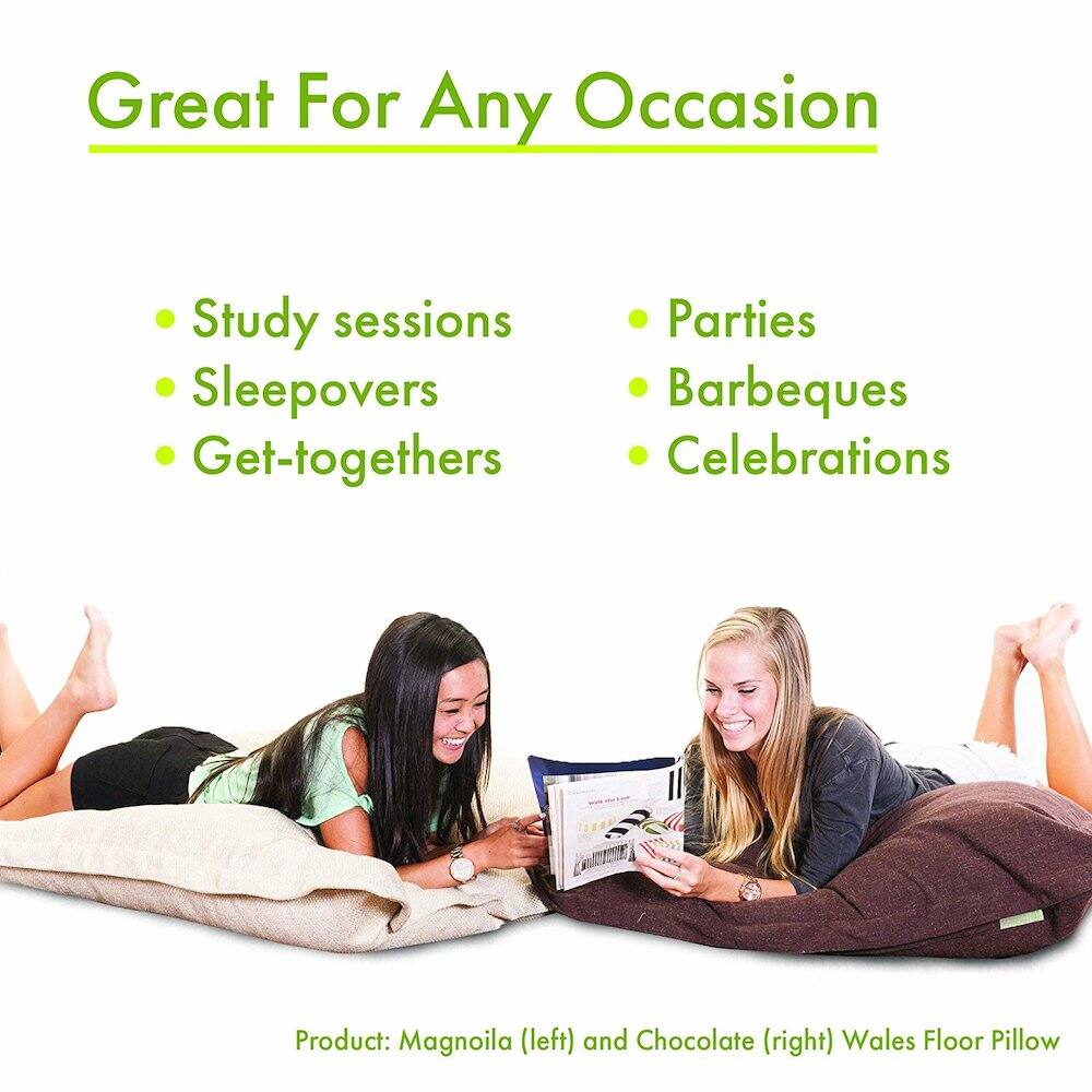 Great For Any Occasion

- Study sessions
- Sleepovers
- Get-togethers
- Parties
- Barbeques
- Celebrations

Product: Magnolia (left) and Chocolate (right) Wales Floor Pillow