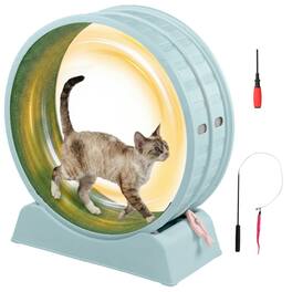 Winado - Cat Exercise Wheel, 31-inch Cat Treadmill with Detachable Carpet, Safety Lock, Teaser Running Silent for Indoor Playing - Light Blue