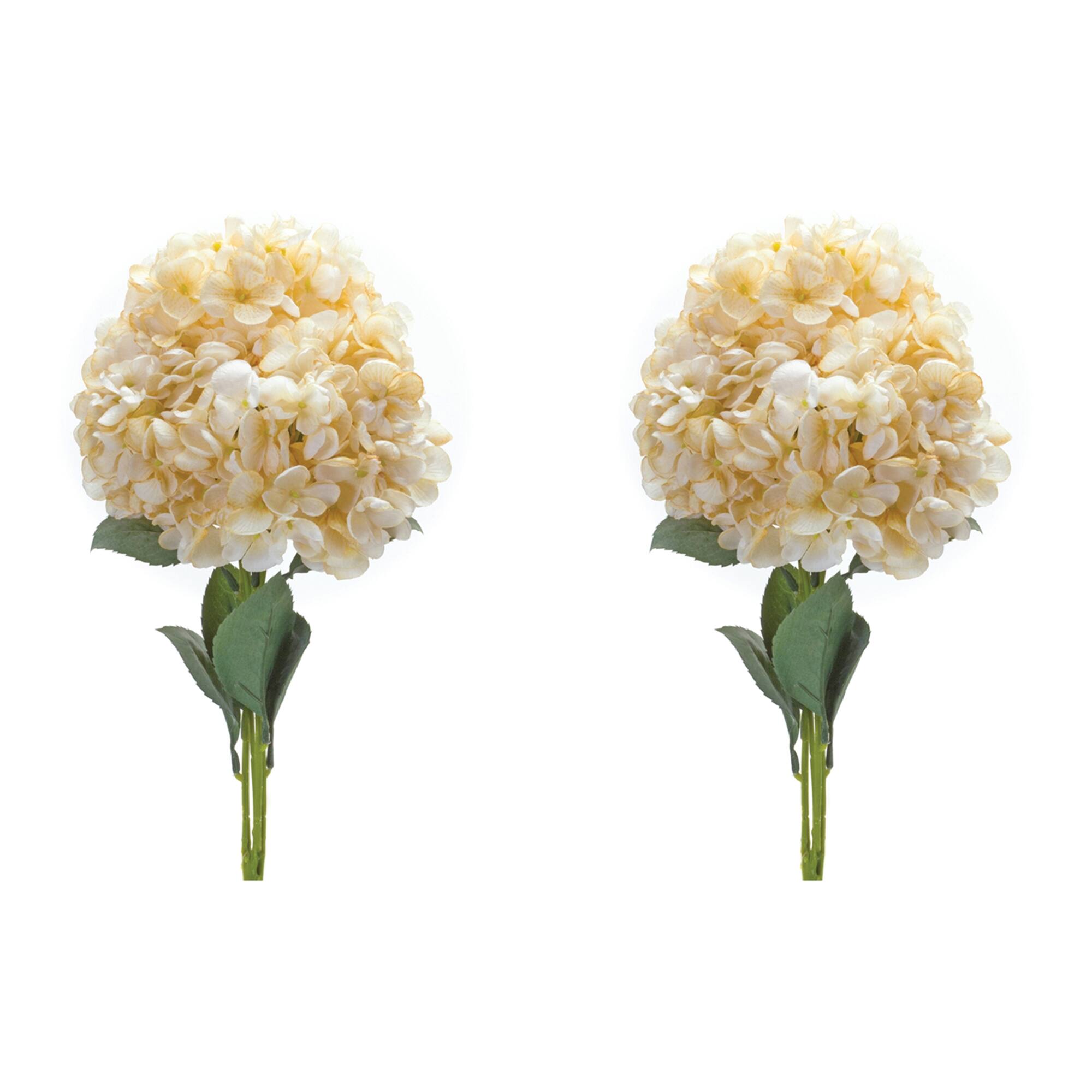 Angle. BreeBe - Hydrangea Bush (Set of 2) - White, Green.