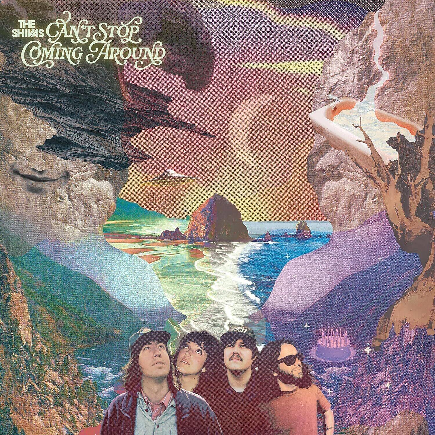 The Shivas - Can't Stop Coming Around   - VINYL LP price history on PriceWatchPro