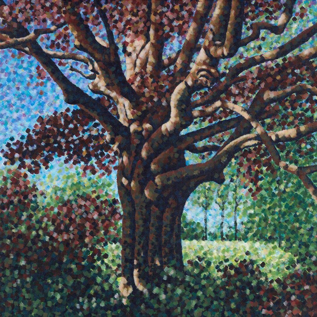 Songs for the Willow [LP] [VINYL] price history on PriceWatchPro