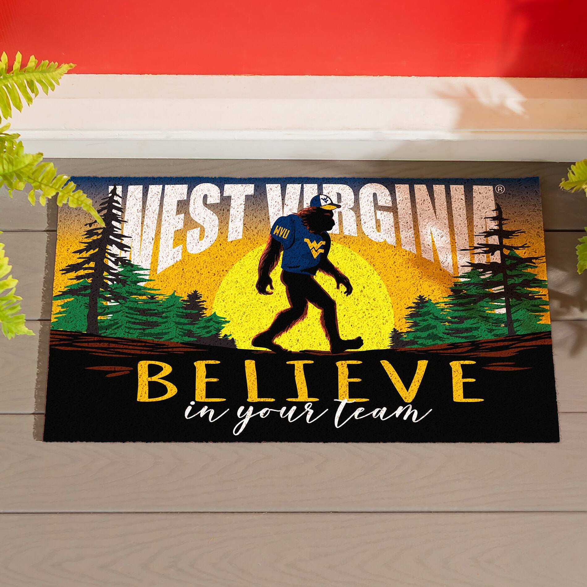 WEST VIRGINIA  
BELIEVE in your team