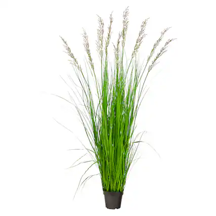 Front. BreeBe - 5.5' Plum Grass Artificial Plant - Green.