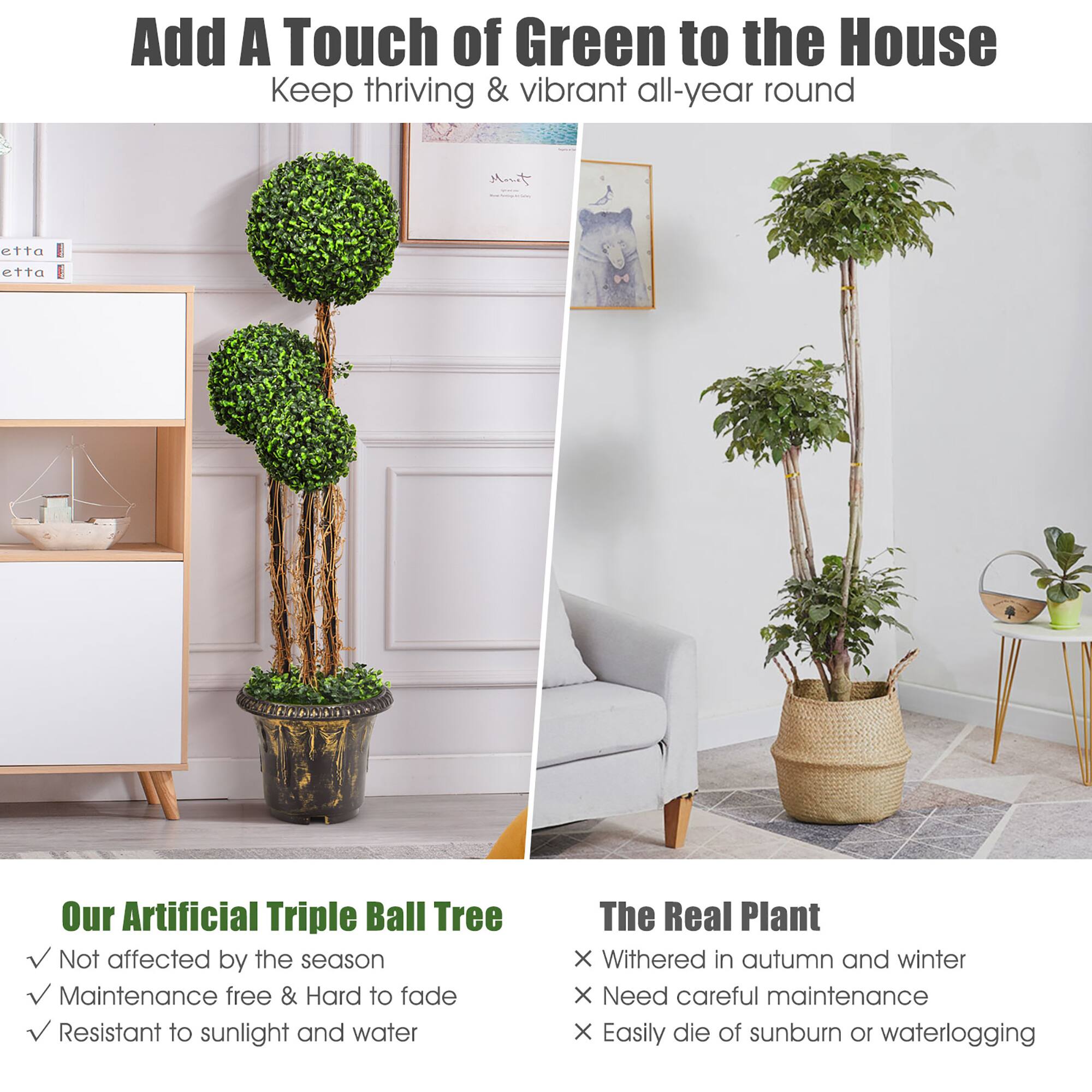 Add A Touch of Green to the House  
Keep thriving & vibrant all-year round  

Our Artificial Triple Ball Tree  
✔ Not affected by the season  
✔ Maintenance free & Hard to fade  
✔ Resistant to sunlight and water  

The Real Plant  
❌ Withers in autumn and winter  
❌ Needs careful maintenance  
❌ Easily die of sunburn or waterlogging