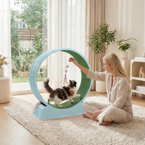 Alt View 10. Winado - Cat Exercise Wheel, 31-inch Cat Treadmill with Detachable Carpet, Safety Lock, Teaser Running Silent for Indoor Playing - Light Blue.