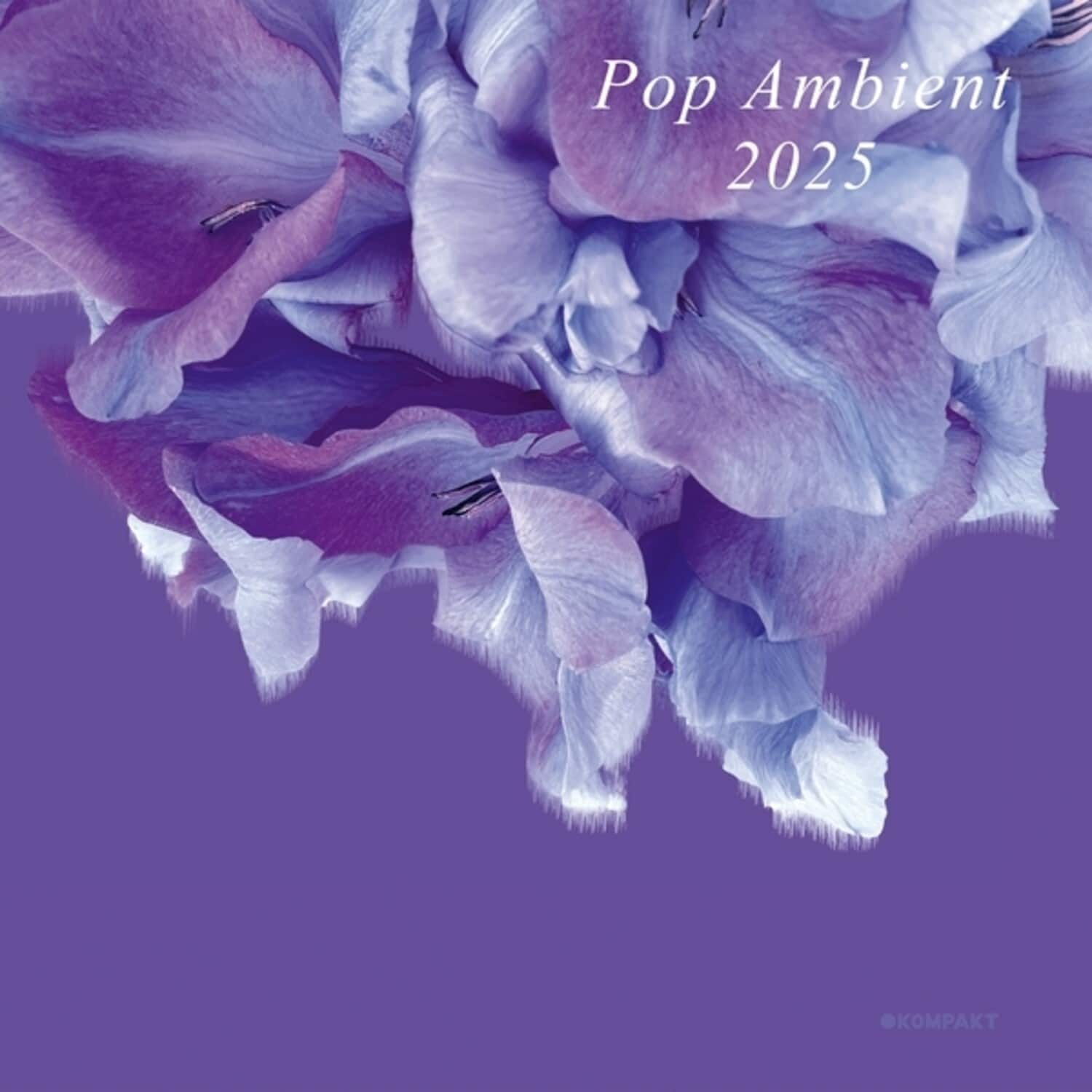 Various Artists - Pop Ambient 2025   - COMPACT DISCS [CD] price history on PriceWatchPro