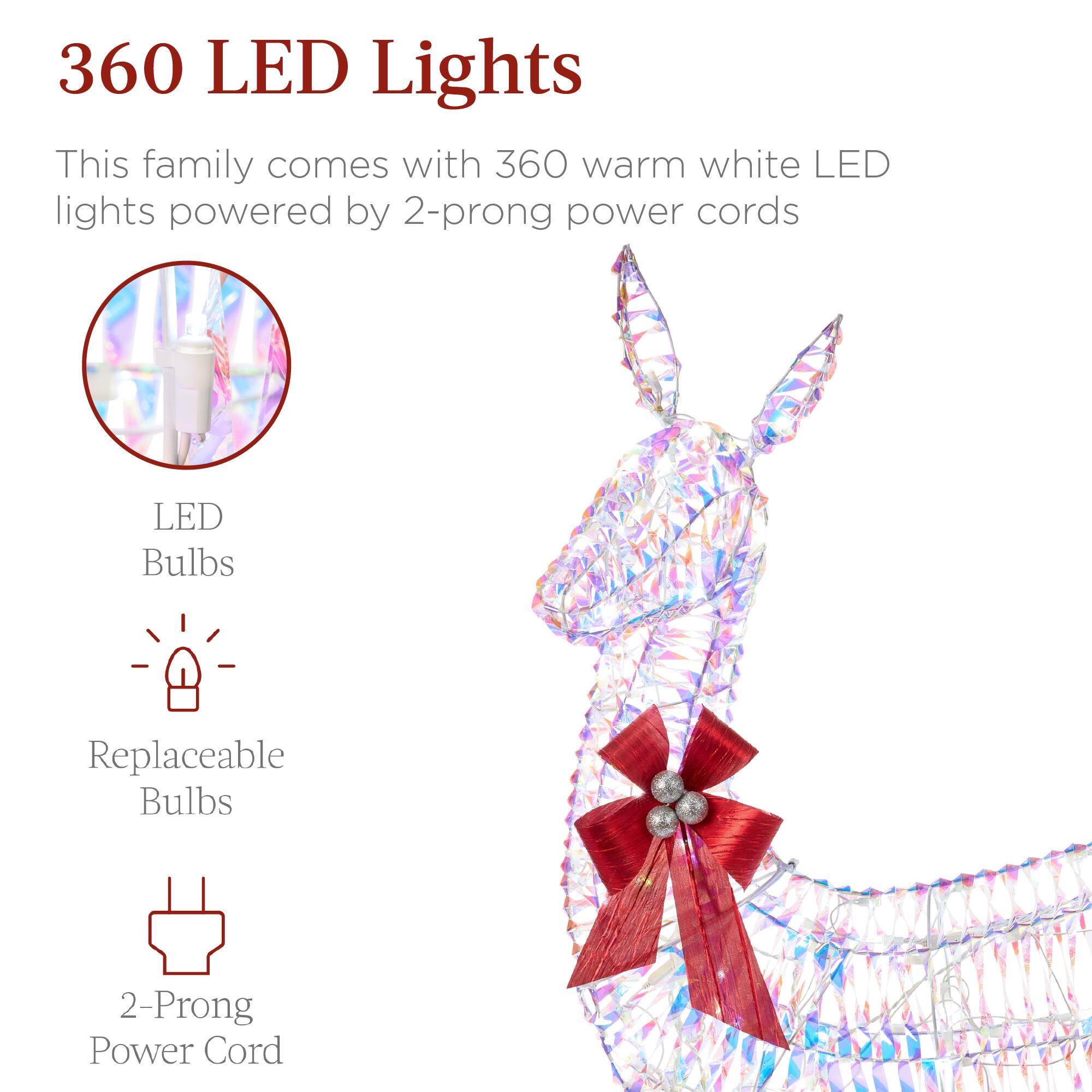 360 LED Lights

This family comes with 360 warm white LED lights powered by 2-prong power cords

LED Bulbs  
Replaceable Bulbs  
2-Prong Power Cord
