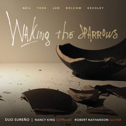 Neil / Spencer - Walking the Sparrows  - COMPACT DISCS