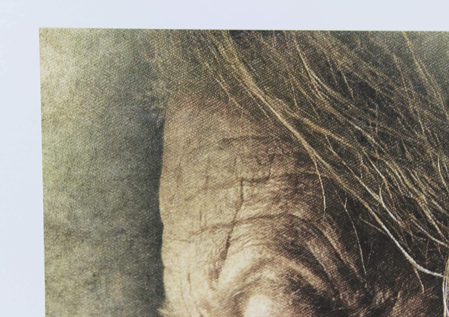 Alt View 6. Photo Paper Direct - Matte True Fine Art Paper 11x17 for Inkjet Printers (25 sheets/270 gsm) - White.