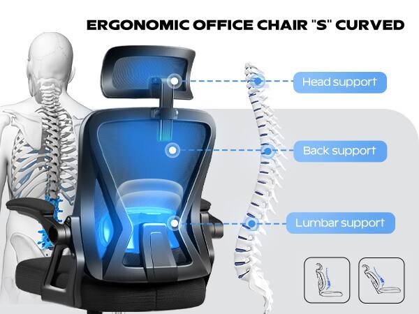ERGONOMIC OFFICE CHAIR "S" CURVED

- Head support
- Back support
- Lumbar support