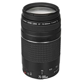 Canon - EF 75 to 300mm F4 to 5.6 III Black Telephoto Zoom Lens for SLR Cameras